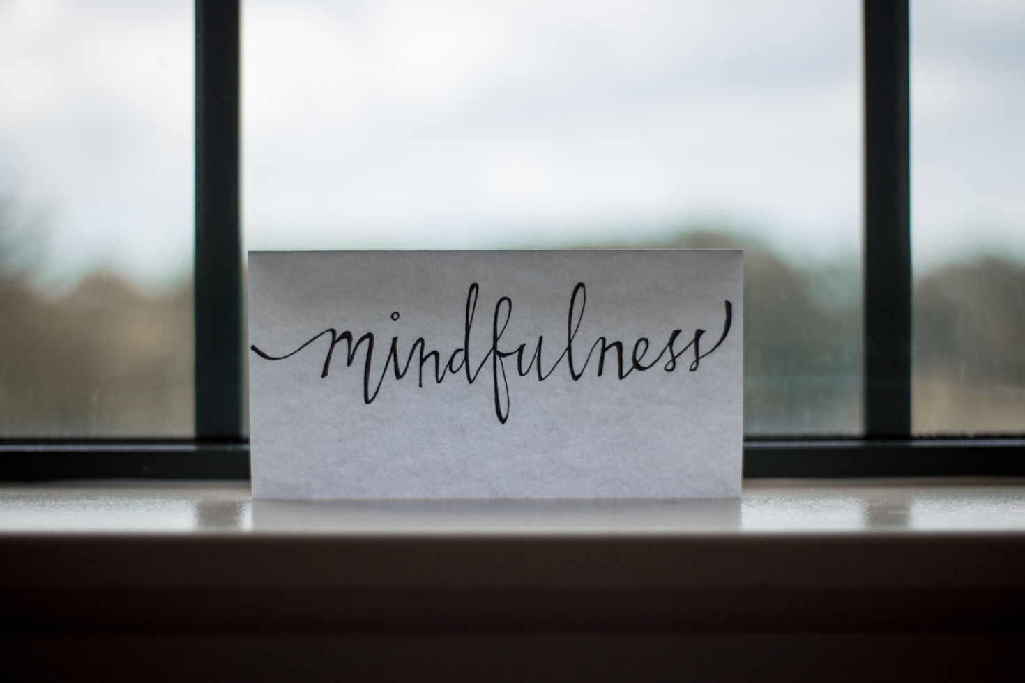 Navigating the Path to Personal and Professional Freedom